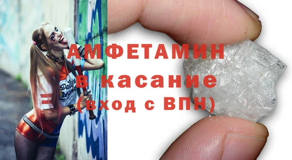 прущие грибы Костерёво