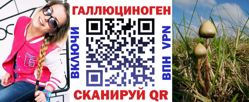 Псилоцибиновые грибы мицелий  где можно купить   Мещовск 
